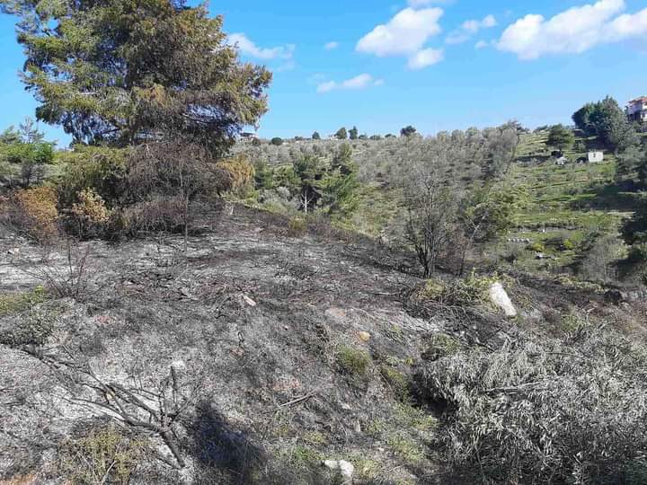 Από ελεγχόμενη καύση σε πυρκαγιά χορτολιβαδικη που παραλίγο να εξελιχθεί σε δασική