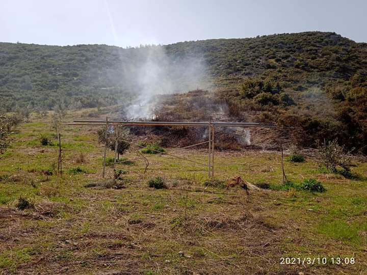 Πυρκαγιά σε αγροτοδασική έκταση στον Ωρωπό Αττικής