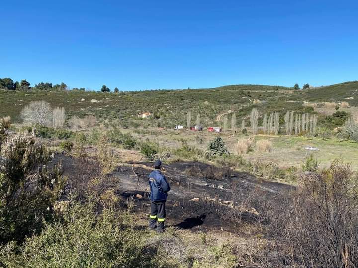 Πυρκαγιά σε δασική έκταση στην Σταματά