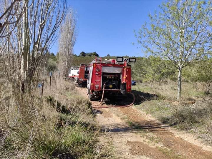 Πυρκαγιά σε δασική έκταση στην Σταματά