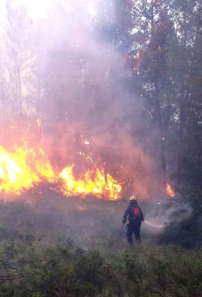 Δασική πυρκαγιά σε εξελιξη στην Αρκαδία (Φώτο και Βίντεο από το συμβάν)