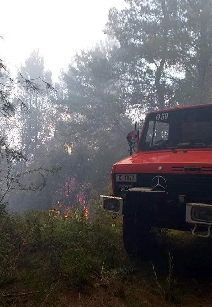 Δασική πυρκαγιά σε εξελιξη στην Αρκαδία (Φώτο και Βίντεο από το συμβάν)