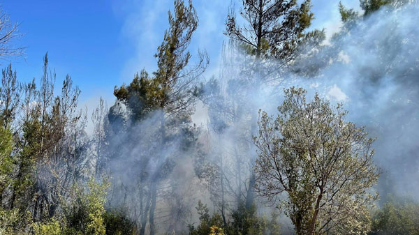 Πυρκαγιά σε δύσβατη περιοχή στο Μάζι – Άμεση επέμβαση από την Π.Υ. Μεγάρων