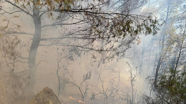 Πυρκαγιά σε δύσβατη περιοχή στο Μάζι – Άμεση επέμβαση από την Π.Υ. Μεγάρων