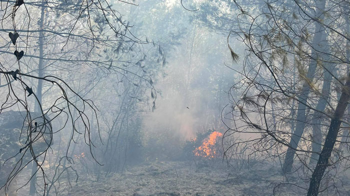 Πυρκαγιά σε δύσβατη περιοχή στο Μάζι – Άμεση επέμβαση από την Π.Υ. Μεγάρων