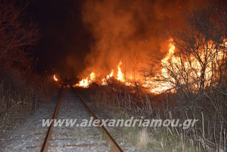 Πυρκαγιά στον Σιδηροδρομικό Σταθμό Αλεξάνδρειας – Ακινητοποιήθηκε τρένο (ΒΙΝΤΕΟ)