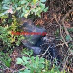 Ναυπακτία: Προσπάθησε να βάλει φωτιά με μπιτόνι πετρέλαιο δίπλα στα σπίτια.(VIDEO)