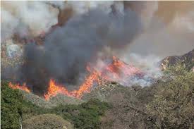 60 Δασικές πυρκαγιές το τελευταίο 24ωρο