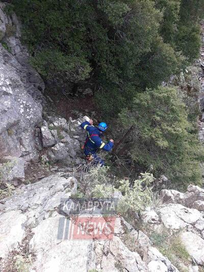 Καλάβρυτα: Εντυπωσιακή και ριψοκίνδυνη διάσωση σκύλων από Πυροσβέστες- ΦΩΤΟ