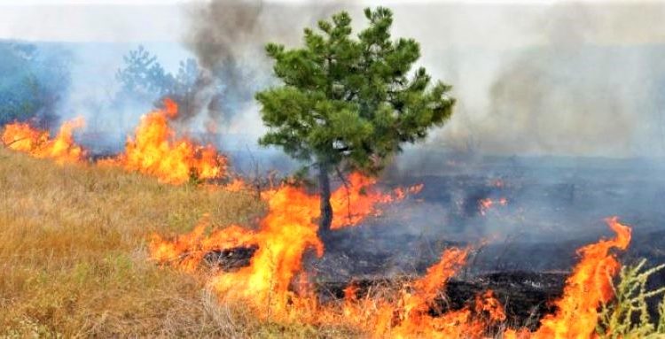 Σε εξέλιξη πυρκαγιά σε γεωργικές εκτάσεις στην περιοχή Σικυωνίων Κορινθίας