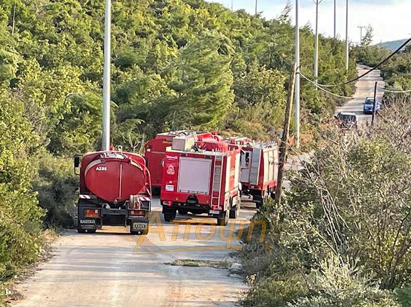 Φωτορεπορτάζ απο την πυρκαγιά στον Κάλαμο