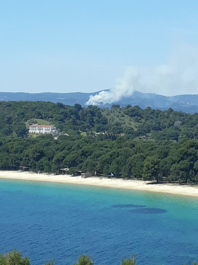 Πυρκαγιά στο Πήλιο: Στάχτη 100 στρέμματα δάσους – Συνεχίζονται οι εναέριες ρίψεις (Φώτο)