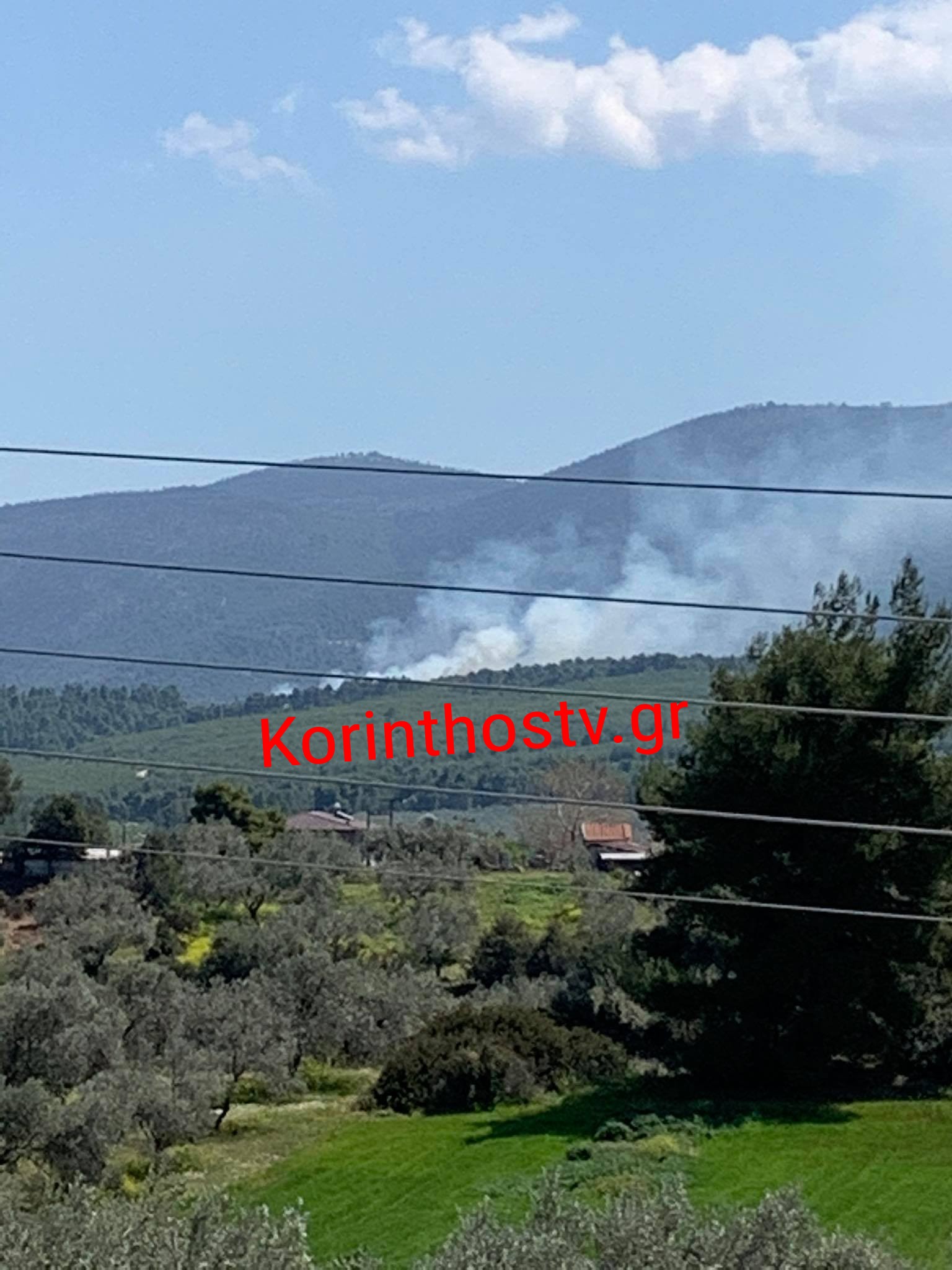 88 υπαίθριες πυρκαγιές αντιμετώπισαν οι Πυροσβεστικές δυνάμεις το τελευταίο 24ωρο