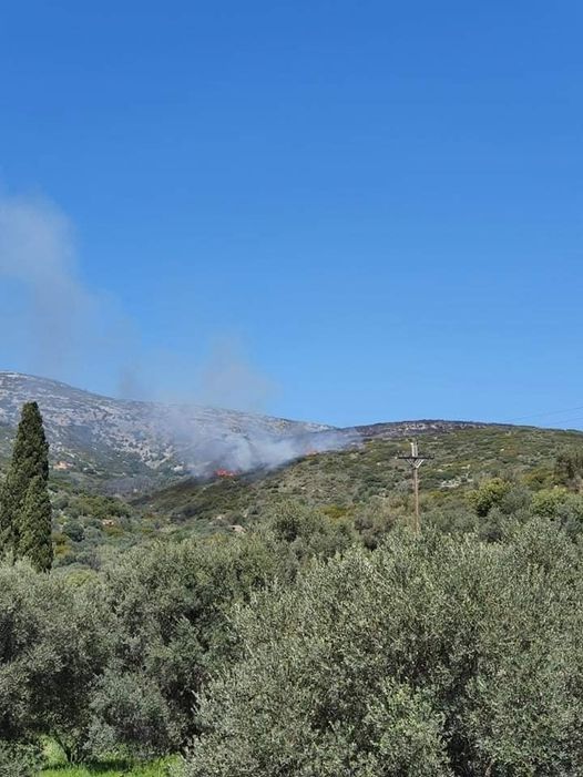 Πυρκαγιά ΤΩΡΑ σε δασική έκταση στο Βαθύ Σάμου