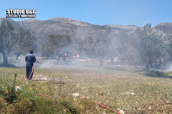 Πυρκαγιά ξέσπασε σε ελαιώνα στην Αργολίδα