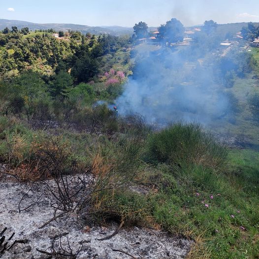 Πυρκαγιά στην περιοχή Πευκόφυτο στον Άγιο Στέφανο Αττικής