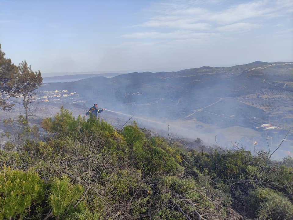 Πυρκαγιά ΤΩΡΑ στην Συντερίνα Λαυρίου Αττικής