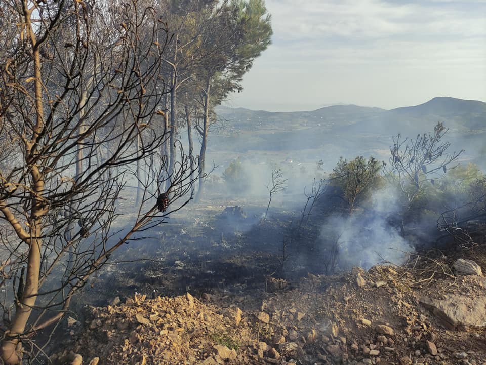 Πυρκαγιά ΤΩΡΑ στην Συντερίνα Λαυρίου Αττικής