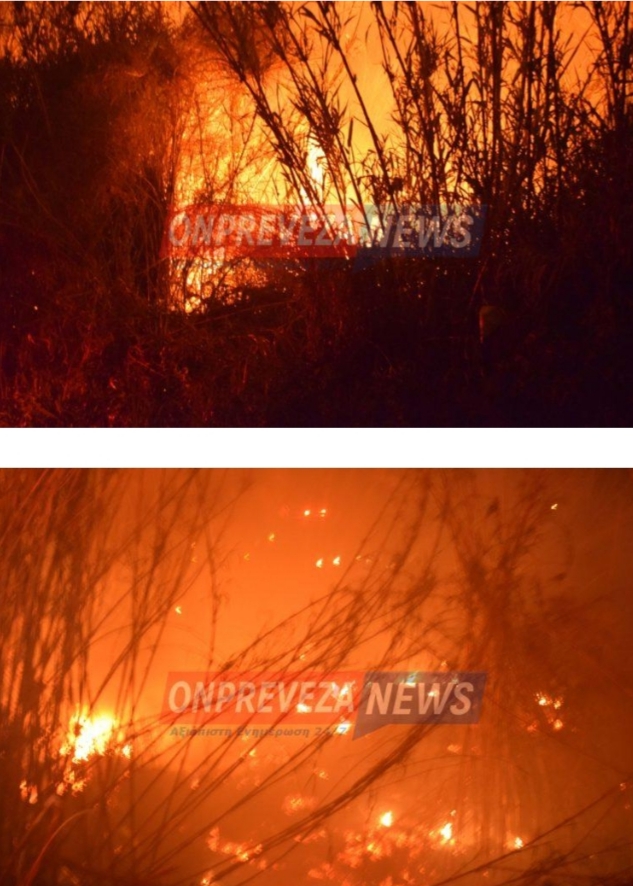 Πρέβεζα: Πυρκαγιά στην Αγ. Φανερωμένη.(φωτο-βιντεο)