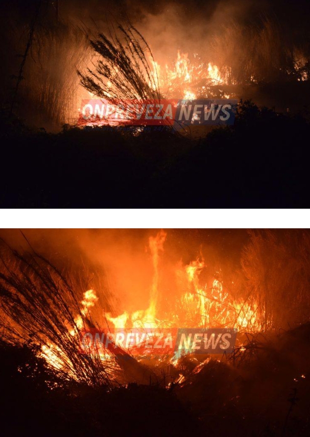 Πρέβεζα: Πυρκαγιά στην Αγ. Φανερωμένη.(φωτο-βιντεο)