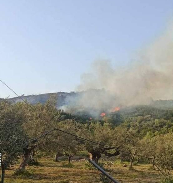 Πυρκαγιά σε αγροτοδασική έκταση στην Μάνη