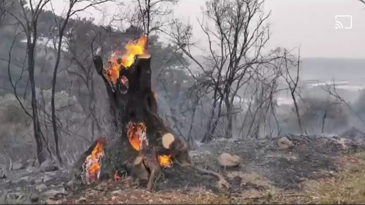Η πυρκαγιά στα Κοντακαίικα της Σάμου – Έκαψε 40 στρέμματα δασικής έκτασης