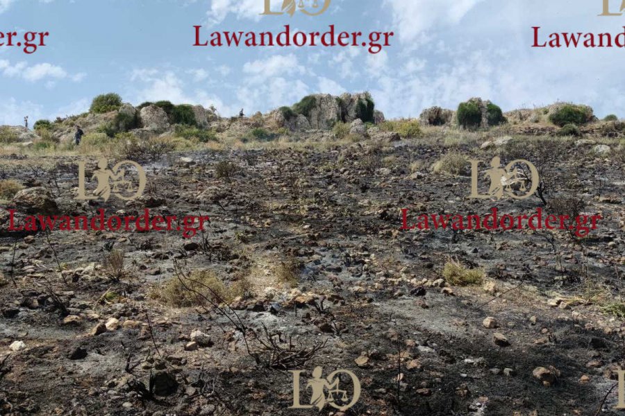 Πυρκαγιά σε χαμηλή βλάστηση στο Λόφο Πανί στον Άλιμο