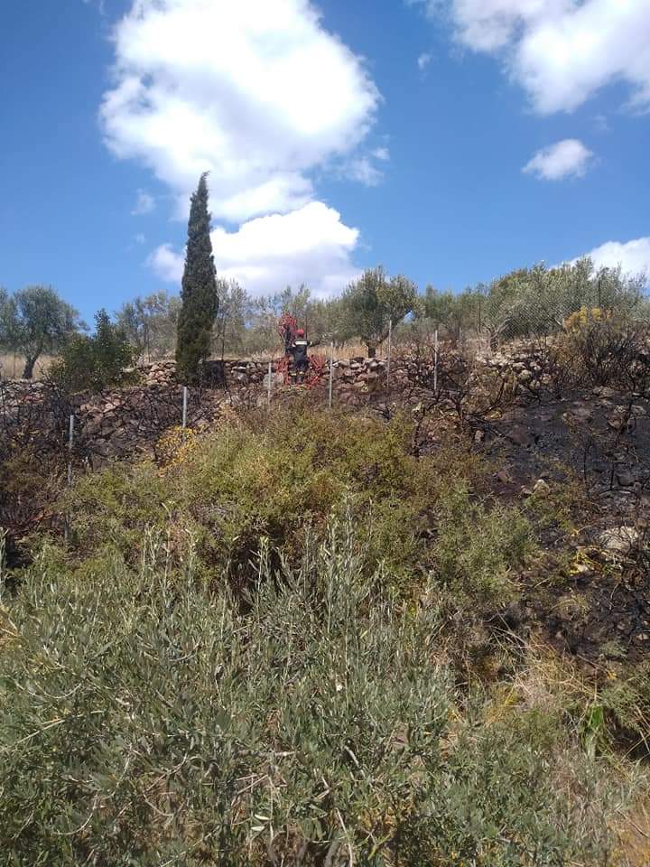 Πυρκαγιά σε δασική έκταση στην Αίγινα.(φωτο)