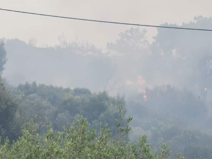 Σάμος: Υπό έλεγχο ή πυρκαγιά(φώτο)