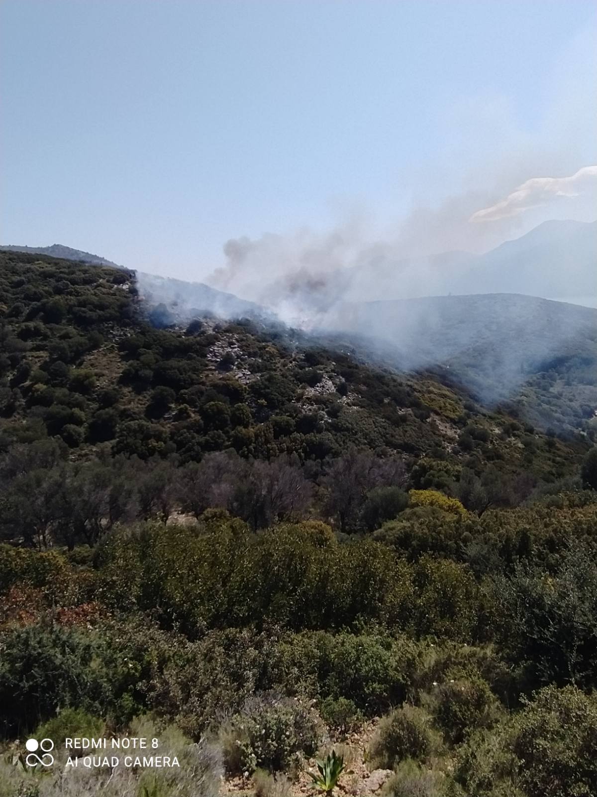 Πυρκαγιά Σάμος: Έσβησε πριν προλάβει να πάρει μεγάλες διαστάσεις (Φώτο)