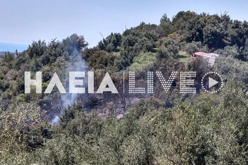 Ηλεια-Πυρκαγιά σε αγροτοδασική έκταση.