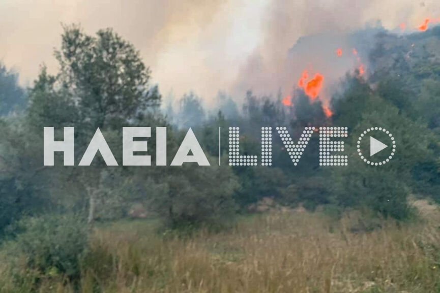 Ηλεια-Σε εξέλιξη παραμένει η πυρκαγιά στο Γούμερο.(φώτο)