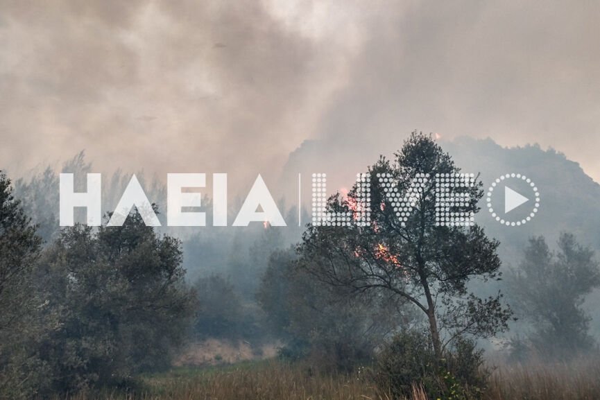 Ηλεια-Σε εξέλιξη παραμένει η πυρκαγιά στο Γούμερο.(φώτο)