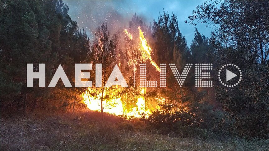 Ηλεια-Σε εξέλιξη παραμένει η πυρκαγιά στο Γούμερο.(φώτο)