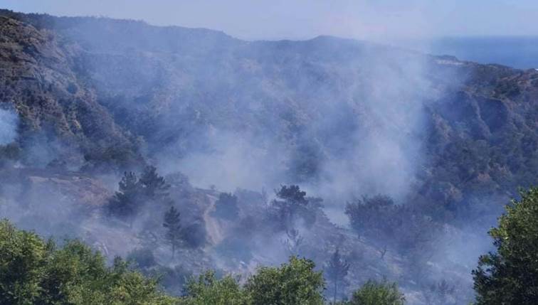 Κρητη - Mεγάλη κινητοποίηση της Πυροσβεστικής για δασική πυρκαγιά