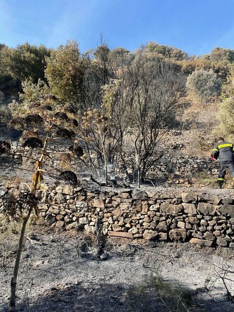 Πυρκαγιά στην περιοχή Καλόγερος Σπαθαραιων Σάμου (Φώτο)