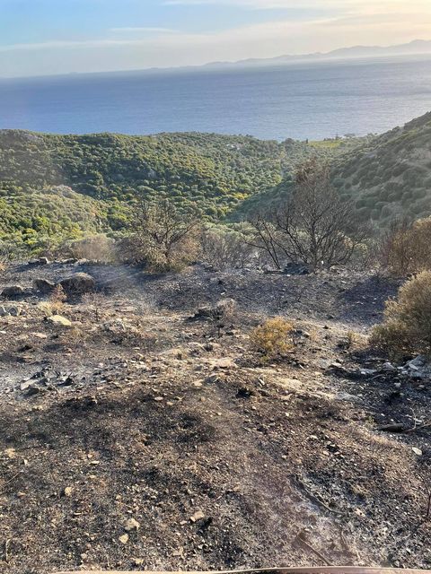 Πυρκαγιά στην περιοχή Καλόγερος Σπαθαραιων Σάμου (Φώτο)