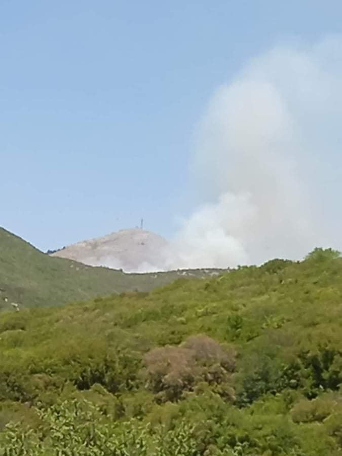 Πυρκαγιά ΤΩΡΑ σε δασική έκταση στην Μεγαλόπολη Αρκαδίας