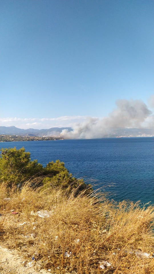 Συναγερμός ΤΩΡΑ για πυρκαγιά στο Kαλαμάκι Κορινθίας (Φώτο)