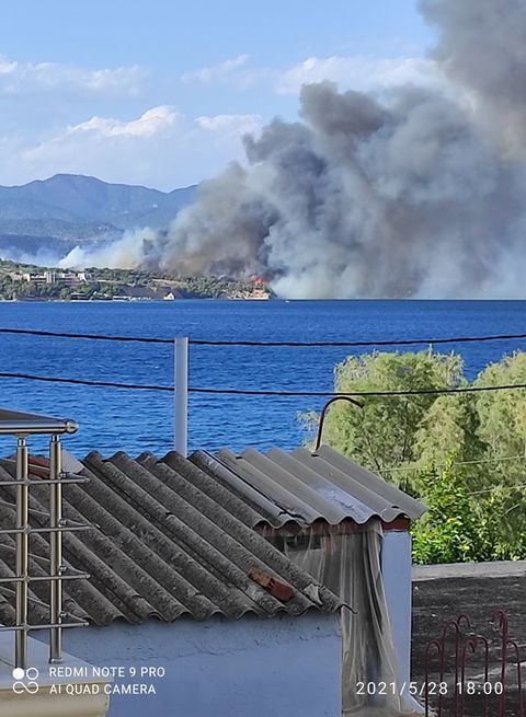 Συναγερμός ΤΩΡΑ για πυρκαγιά στο Kαλαμάκι Κορινθίας (Φώτο)