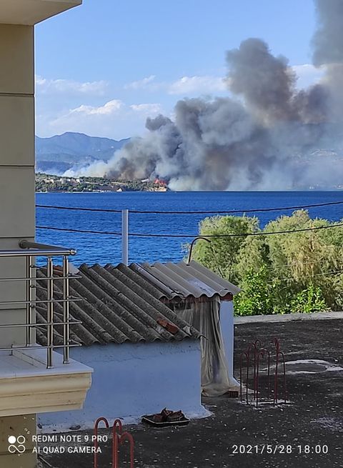 Συναγερμός ΤΩΡΑ για πυρκαγιά στο Kαλαμάκι Κορινθίας (Φώτο)