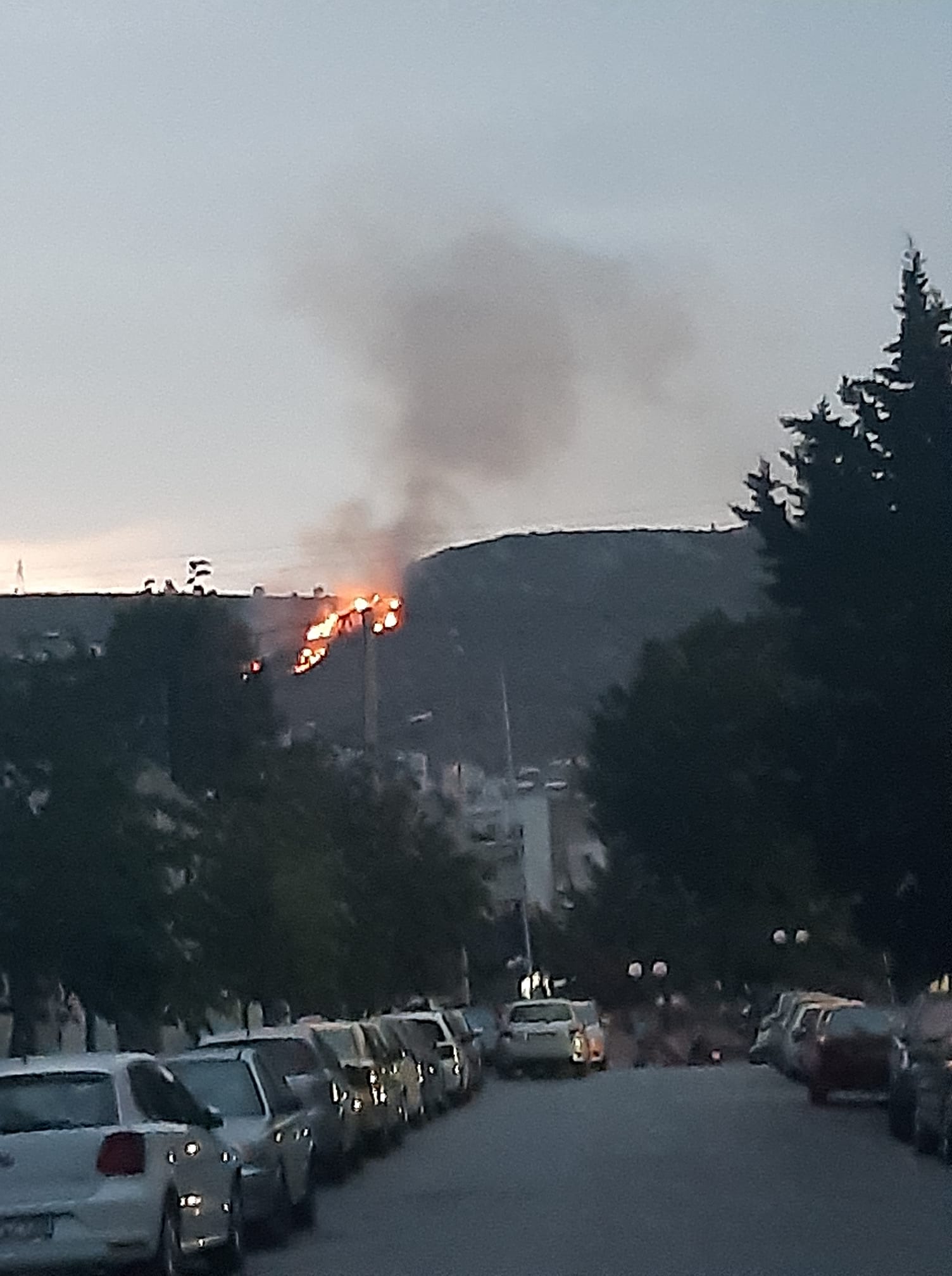 Πυρκαγιά ΤΩΡΑ σε χαμηλή βλάστηση στην Νίκαια Αττικής