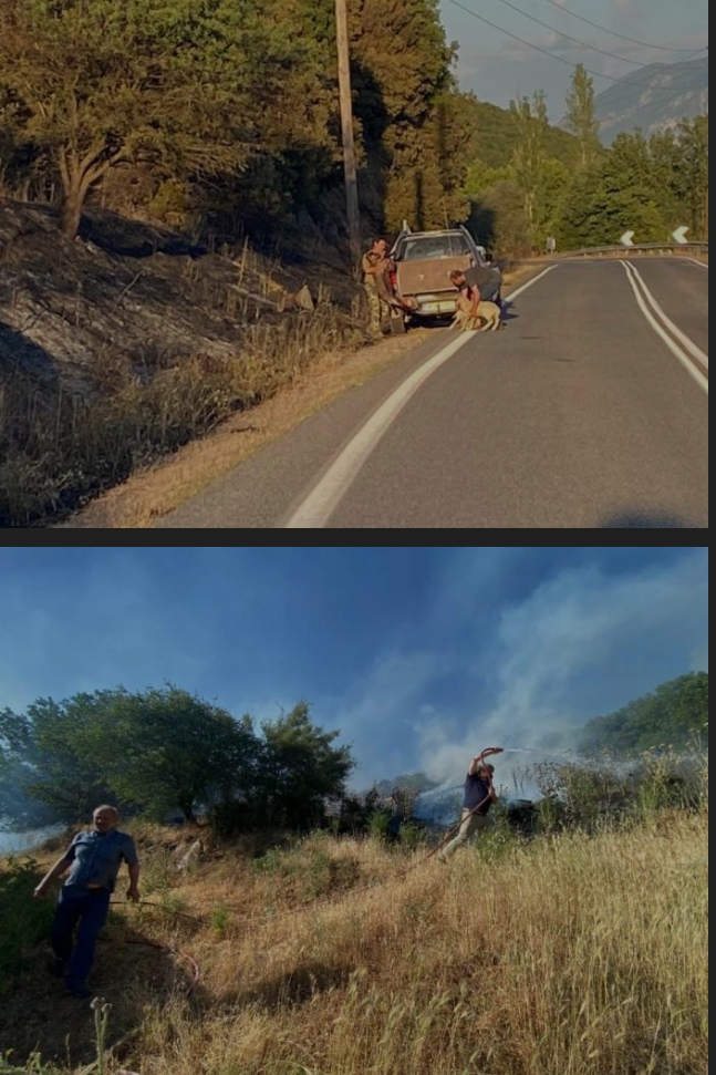 Δείτε τους βοσκούς να σώζουν τα ζώα τους από τη πυρκαγιά στη Βίτωλη