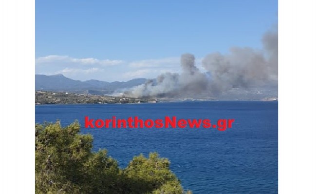 Συναγερμός ΤΩΡΑ για πυρκαγιά στο Kαλαμάκι Κορινθίας (Φώτο)