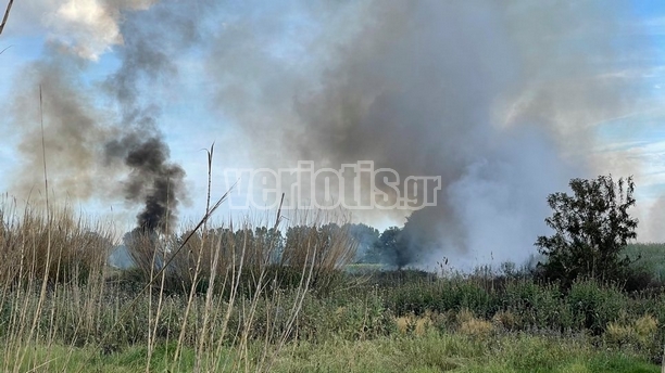 Πυρκαγιά στην Αλεξάνδρεια Ημαθίας