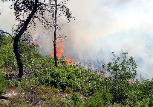 Πυρκαγιά ΤΩΡΑ σε χορτολιβαδική έκταση στο Ηράκλειο Κρήτης