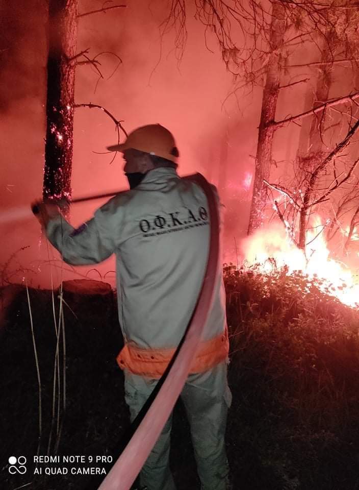 Πυρκαγιά σε δασική έκταση στο Κιλκίς (Φώτο)