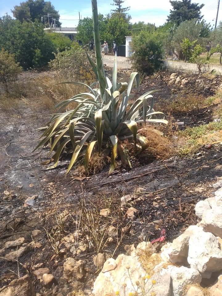 Πυρκαγιά εν υπαίθρω στην Αίγινα