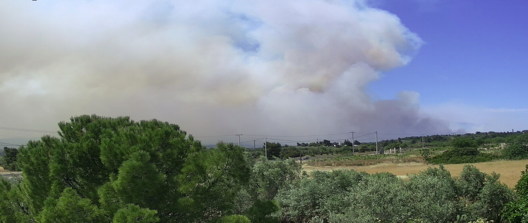 Να κηρυχτεί άμεσα αναδασωτέα η περιοχή των Γερανείων