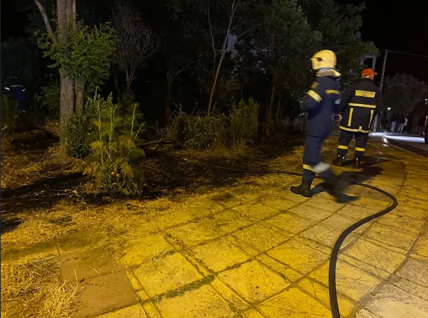 Πυρκαγιά σε ξερά χόρτα στην Καβάλα (Φώτο)